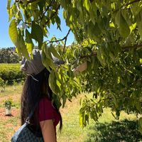 bad quality to good quality