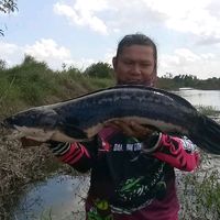 damanikadventure