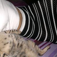 milagrosrodriguezcruz4