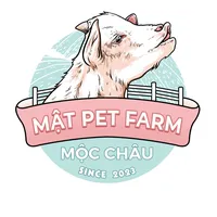 original sound - matpetfarm.mocchau