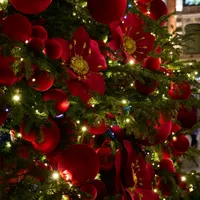 original sound - mexri2222