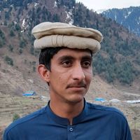 sabdar_ali_374