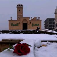 salih.alshalah
