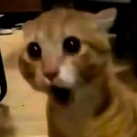 suara asli - DJ TRABAS