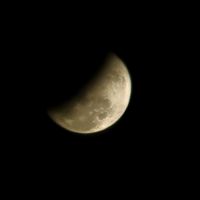 paweena8888