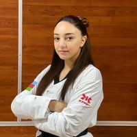 taekwondo.goygol