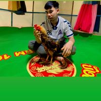 เสียงต้นฉบับ - สมชายทีม.🇱🇦.พม่าแต่ง❤️🐓