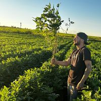 mateusmartinsservino