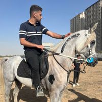 mabast.hamed