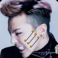 qulfii4