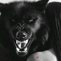 777zzzz77zz7