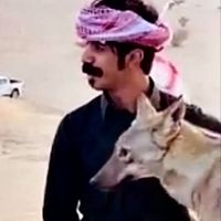 الصوت الأصلي