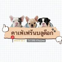 privatedog.cafe.b
