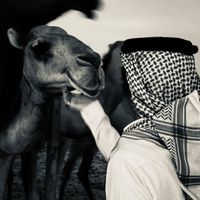 الصوت الأصلي