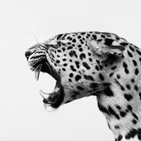 itsnotjustobsession_