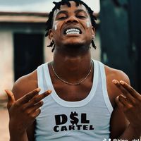 king__dsl