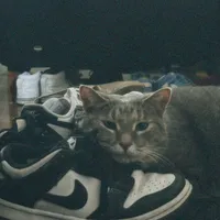 original sound - .gqvinyn_