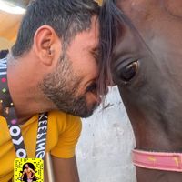 الصوت الأصلي