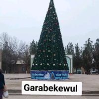 orijinal ses