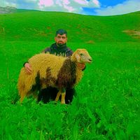 kudbettin_14
