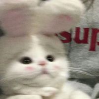 nhạc nền - ᅠ_Chamieᰔᩚ_🐰