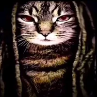 original sound - zxxamirxxz