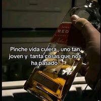anitagodinez502