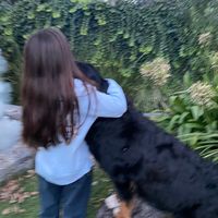 delfi.zubiaurre