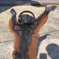 original sound