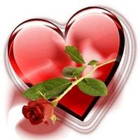 amal.xiiro