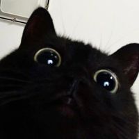 Candy Nightcore