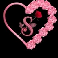 md..shadir