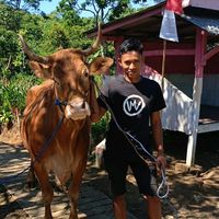 suara asli - bakul wedus