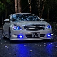 868.v1shan
