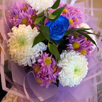 aysel_atluxanova1