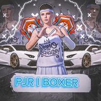 pjr_boxer_1