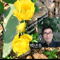 오리지널 사운드 - 함안
