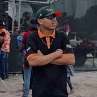 robin_do_piseiro