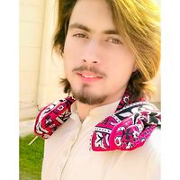 NiAZi 313