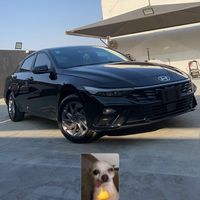 تكفون يالي تشوفه