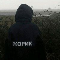 оригинальный звук