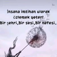 orijinal ses