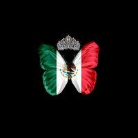 mexicana1805