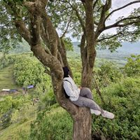 suara asli - Anggi Alfianti