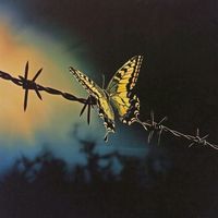 calo_49