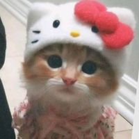 suara asli - fi