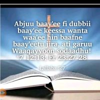 zinaheyesus239