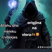 vlora548