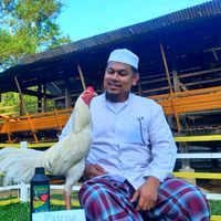 original sound - Fattah Farm