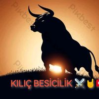 orijinal ses